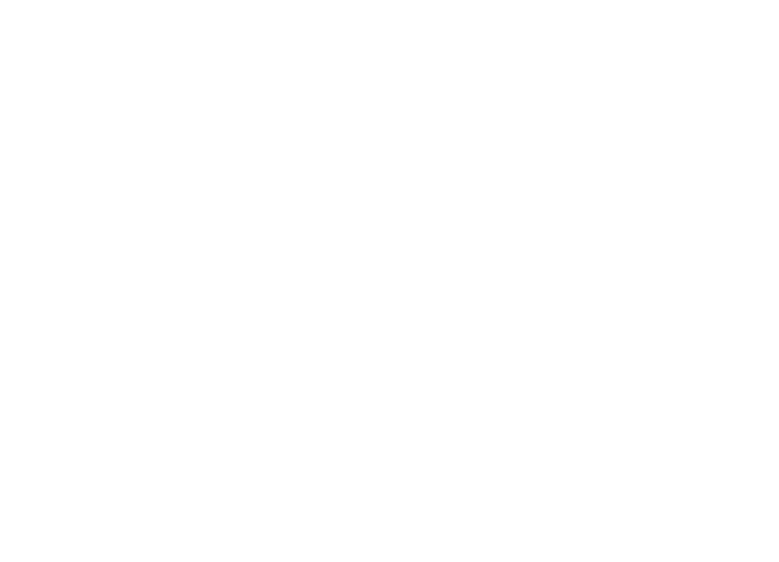 ティファナロゴ